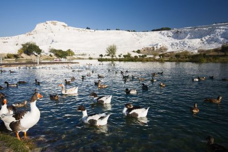Pamukkale Tour Kuşadası