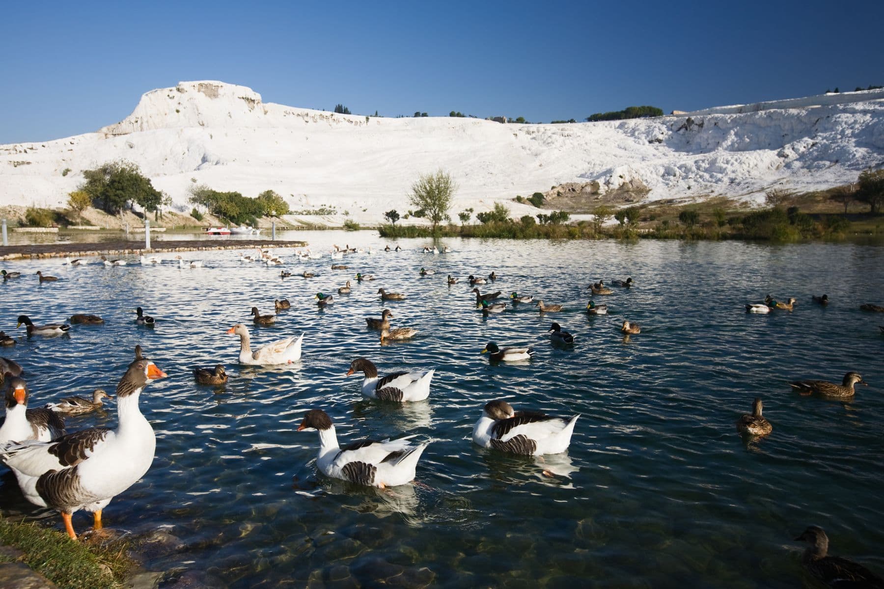 Pamukkale & Hierapolis