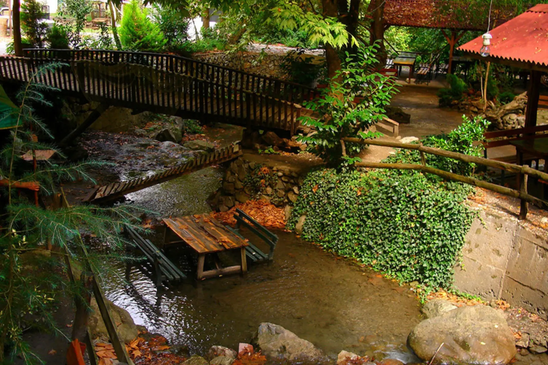 Maşukiye & Sapanca Tour