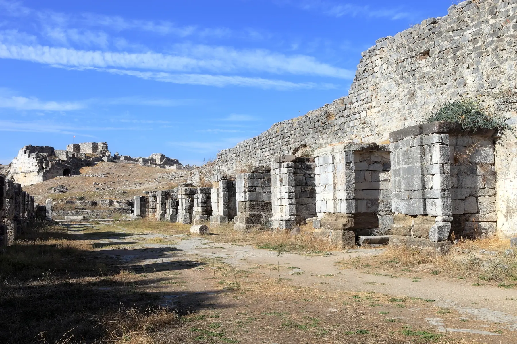 Private Priene, Miletus & Didyma Tour