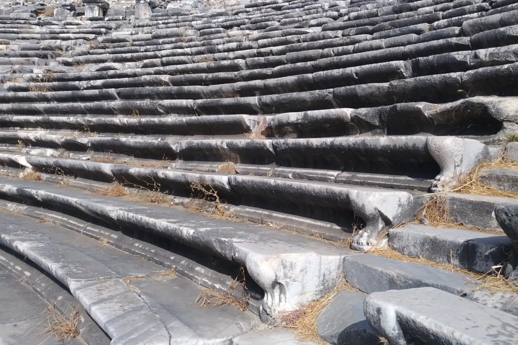 Private Priene, Miletus & Didyma Tour