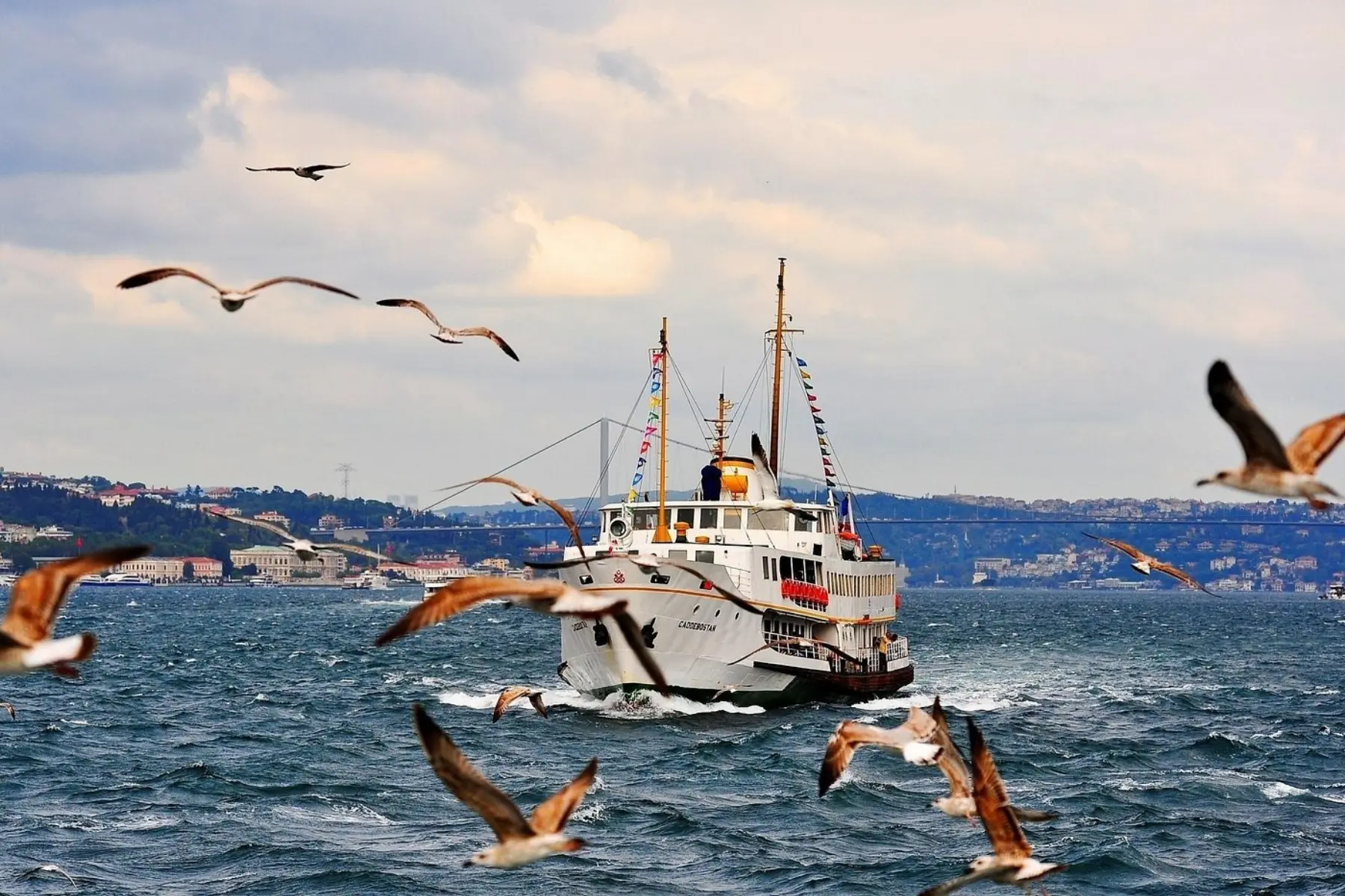 Bosphorus Cruise (Morning Tour)