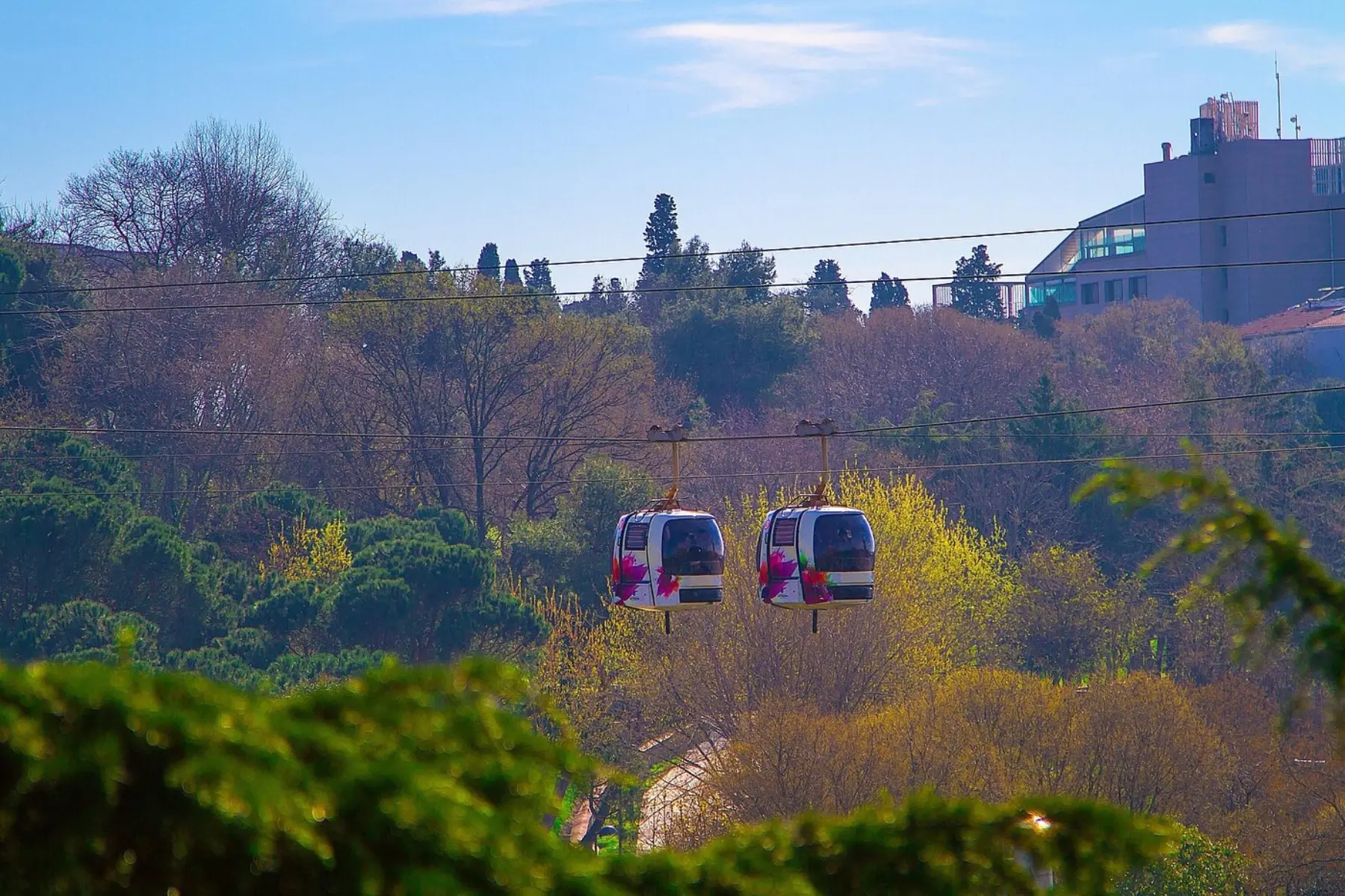 Bosphorus Cruise with Cable Car (Afternoon Tour)