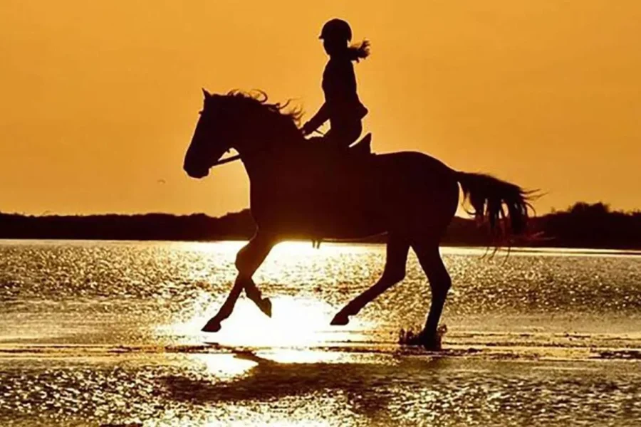 Sunset Horse Riding in Antalya | Beach & Nature Experience